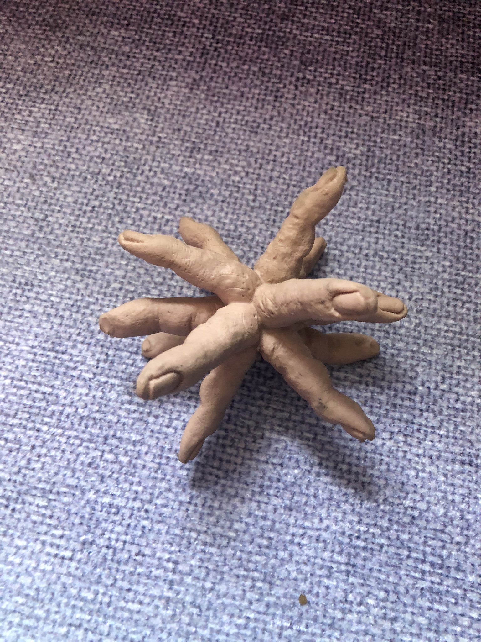 A beige, star-shaped sculpture made of multiple finger-like protrusions radiates outward from a central point, resting on a textured gray fabric surface.