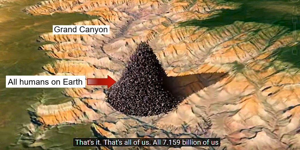 1397960354416644097-E2aNh_jUUAIbCEZ.jpg