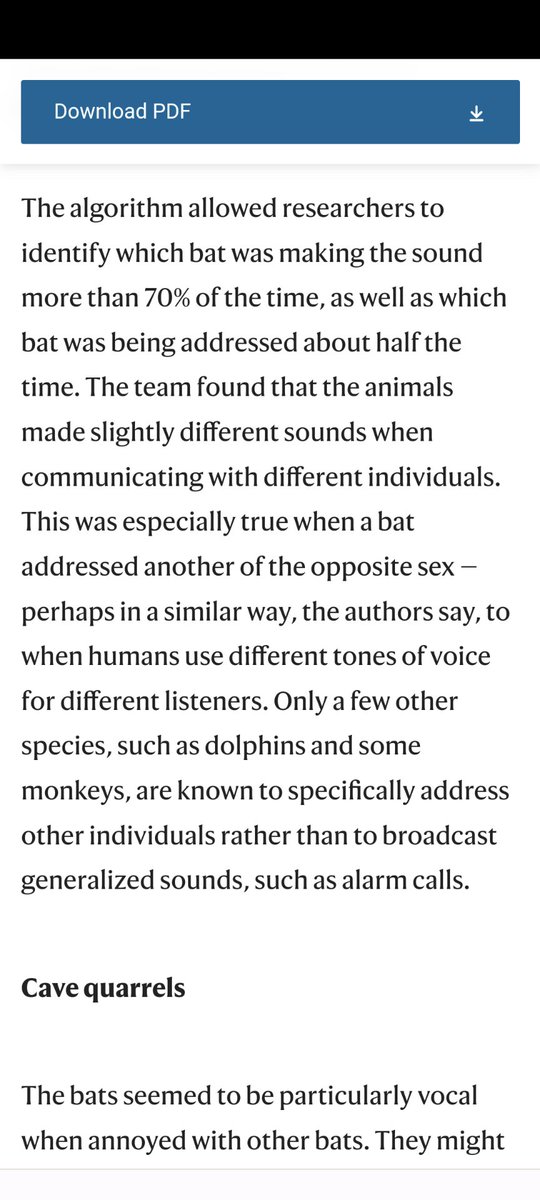 A screenshot of a webpage with text about bat communication, including a "Download PDF" button at the top and two main sections: one discussing bat vocalizations and social interactions, and another titled "Cave quarrels" describing bats being vocal when annoyed.