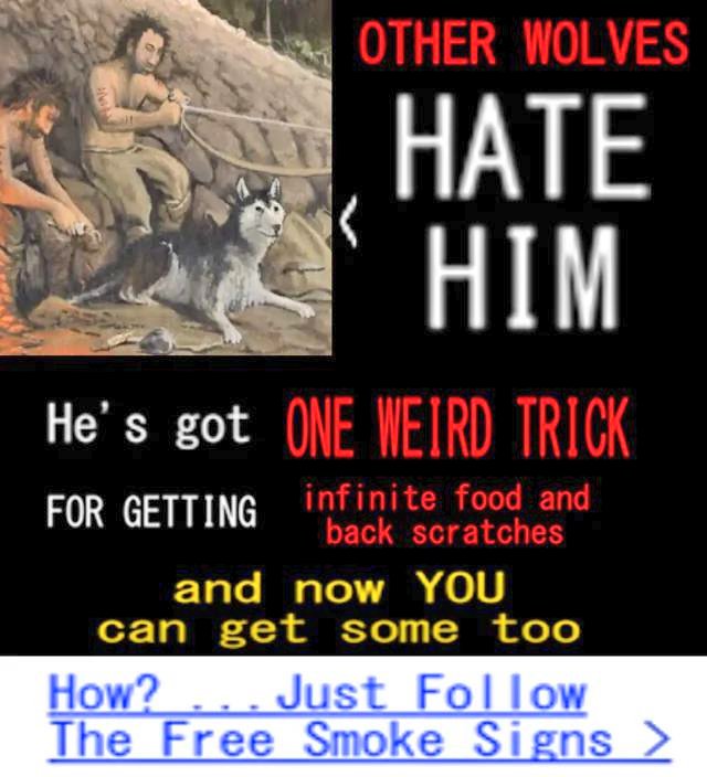 This image is a meme with a cartoon illustration of two men and a husky dog, alongside bold text that reads "OTHER WOLVES HATE HIM" and "He's got ONE WEIRD TRICK FOR GETTING infinite food and back scratches." It ends with a call to action: "How? ... Just Follow The Free Smoke Signs >" suggesting a humorous or fake tutorial.