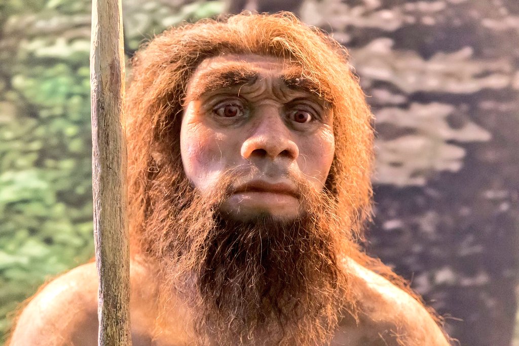 A detailed, lifelike reconstruction of a Neanderthal man with thick brown hair and beard, holding a wooden staff, looking directly at the viewer with wide eyes.