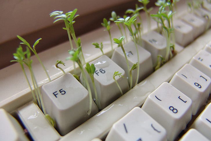 Tiny green sprouts are growing out of the keys on an old white keyboard, with water droplets visible on the keys and between them.